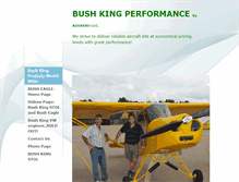 Tablet Screenshot of bushkingperformance.com
